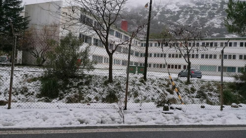 Schneefall auf Mallorca - Verkehrschaos in den Bergen