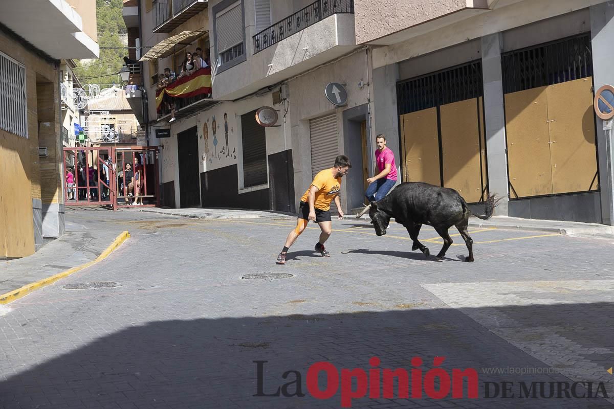 Cuarto encierro en las Fiestas de Moratalla