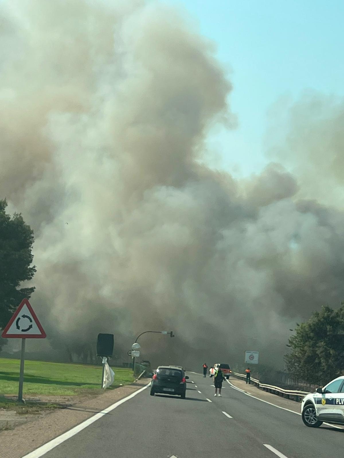 Un aparatoso incendio junto al Oceanogràfic y la autovía del Saler obliga a cortar el tráfico de entrada y salida a la ciudad