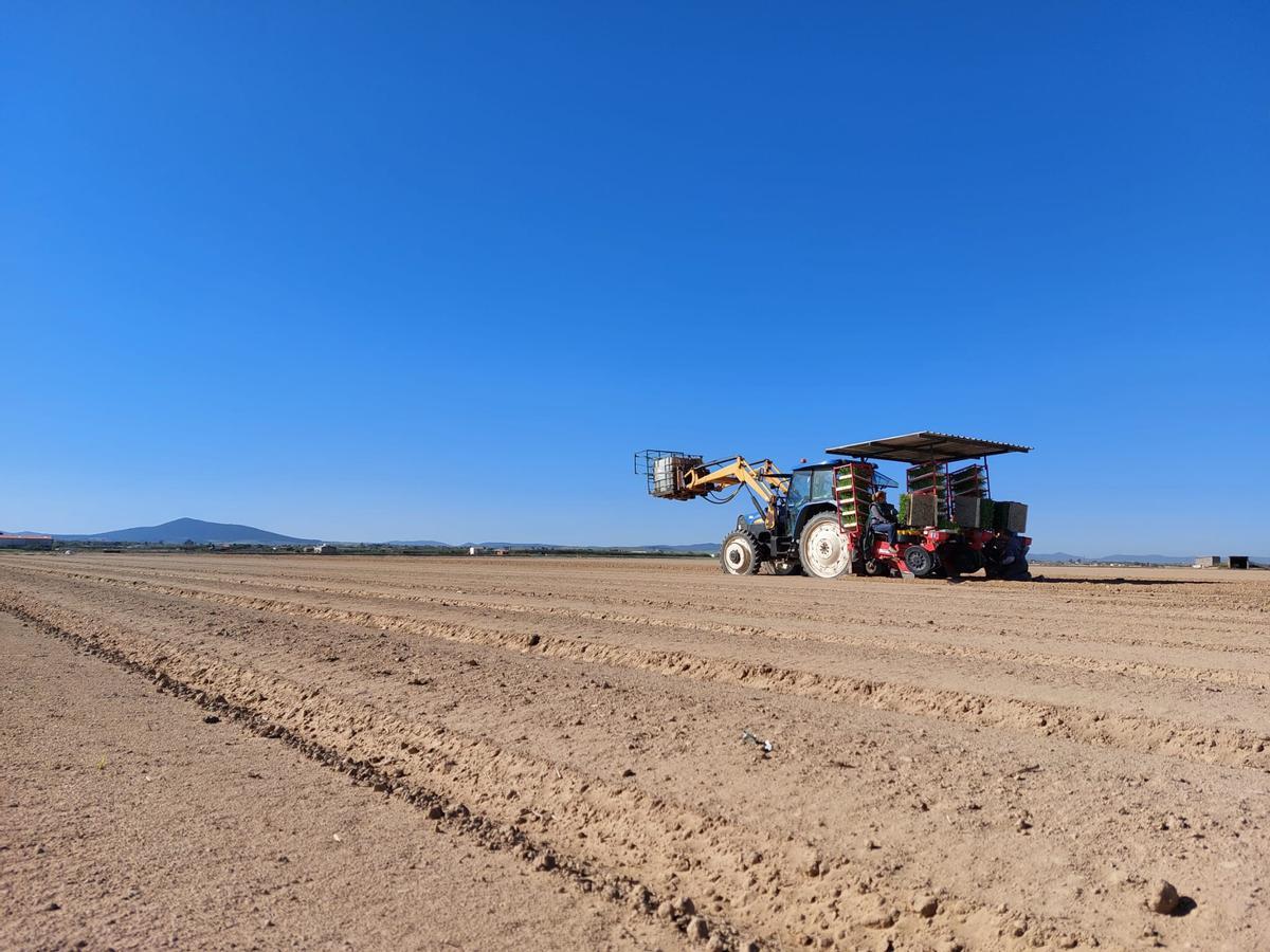 La falta de lluvia fuerza un riego de emergencia en el Canal de Orellana