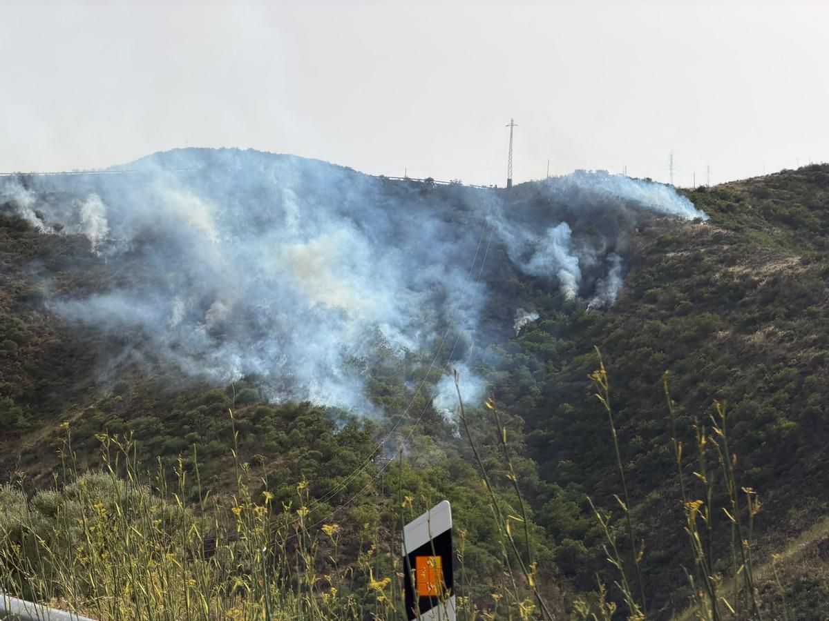 Conato de incendio de Telde, en imágenes Conato de incendio de Telde, en imágenes