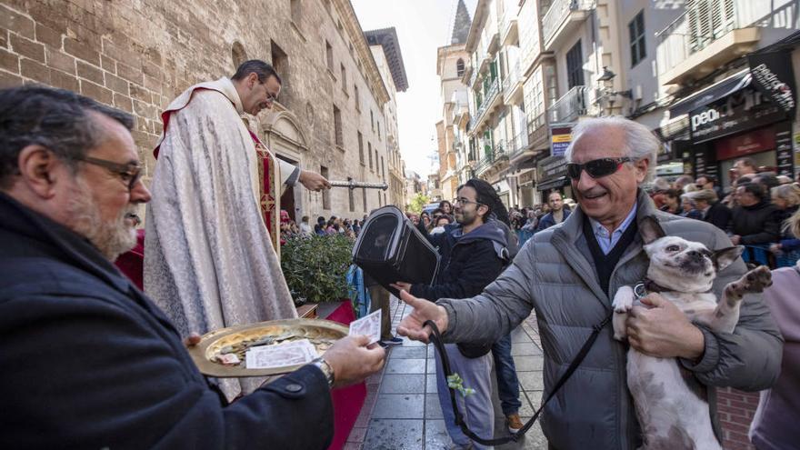 Sant Antoni 2018: Beneïdes algo deslucidas en Palma