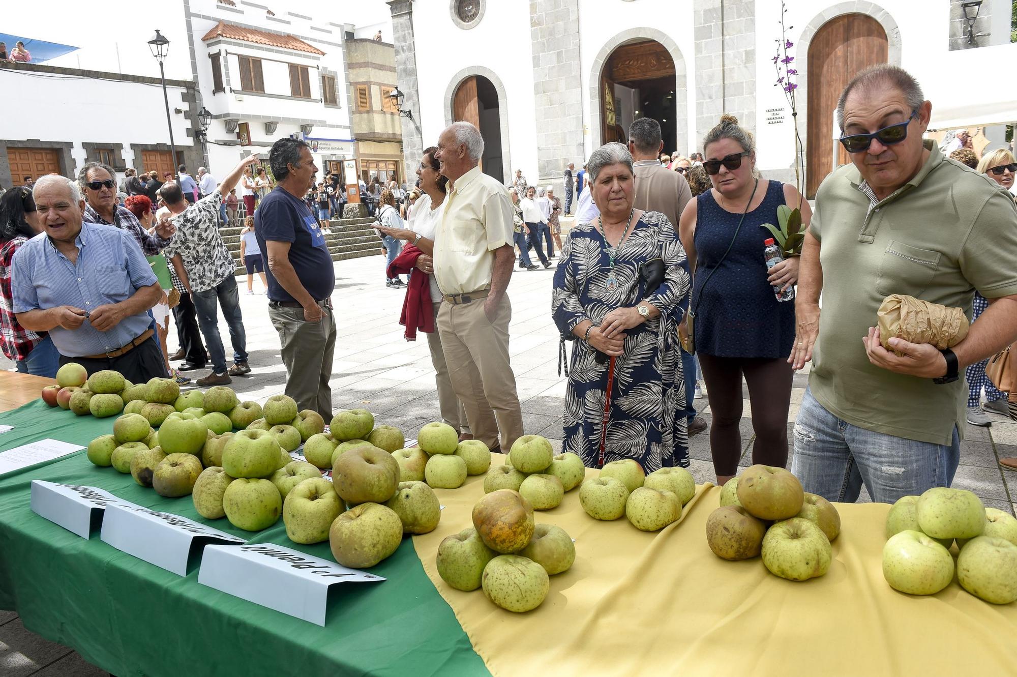 Fiestas de la manzana de Valleseco