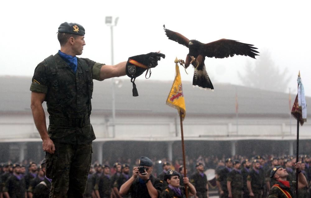 Parada militar en la jura de bandera // Rafa Vázquez