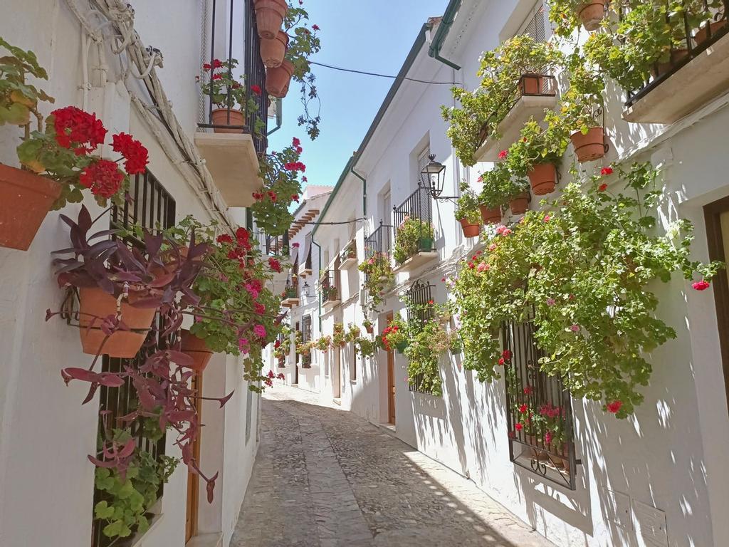 Algunos de los pueblos más bonitos de Andalucía son pueblos blancos con cientos de macetas colgando de sus paredes y llenando de color el pueblo