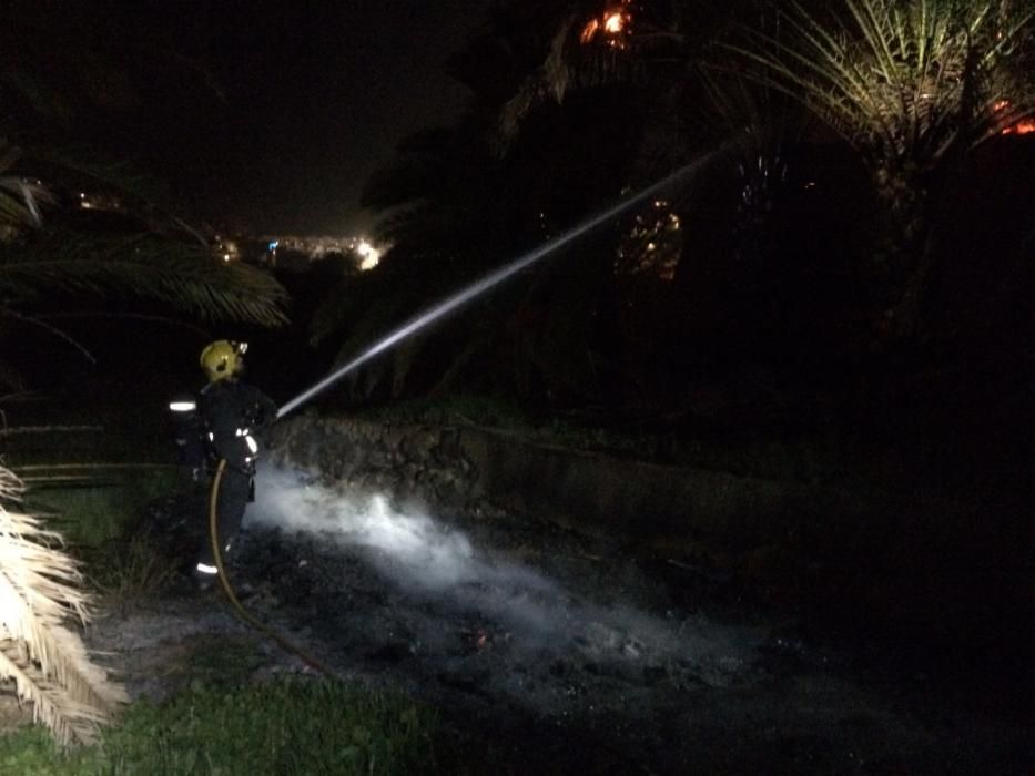 Sofocado un incendio en un palmeral en Arucas