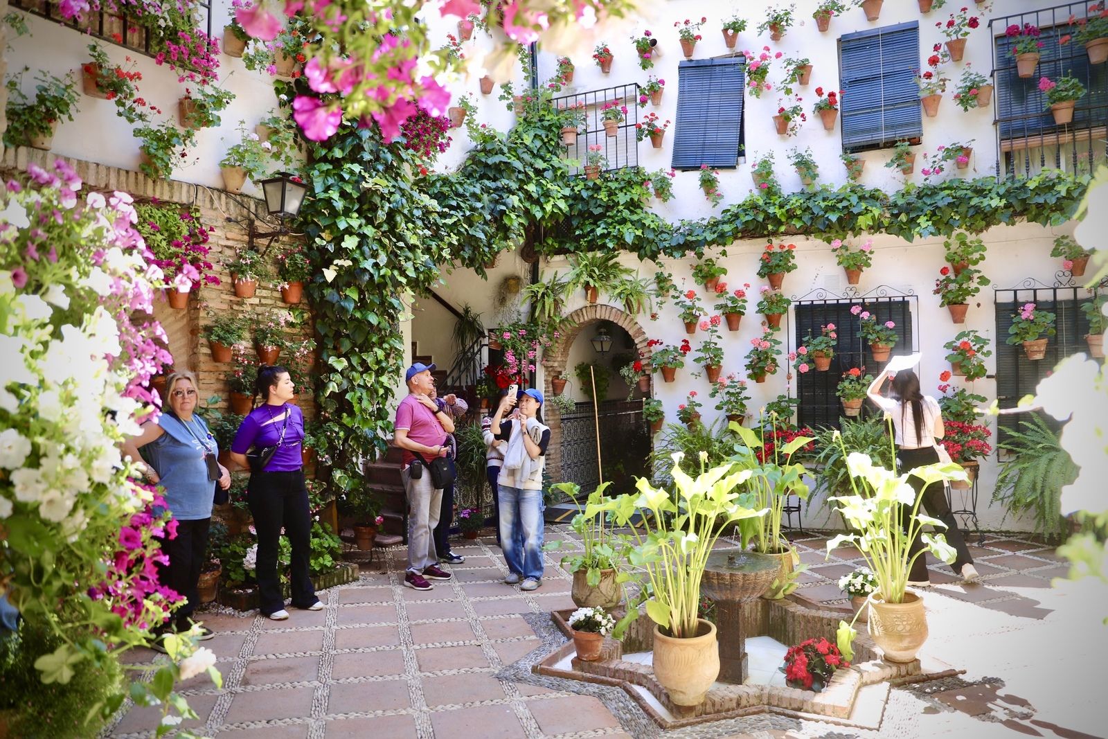 La Ruta 3 de los Patios de Córdoba, en imágenes