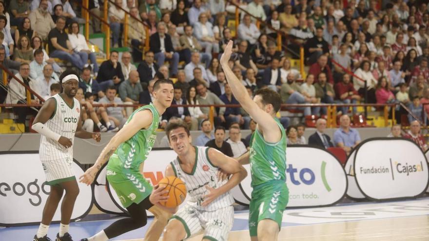 El Coto Córdoba acaricia la Primera FEB tras destrozar al Amics Castelló en una noche histórica