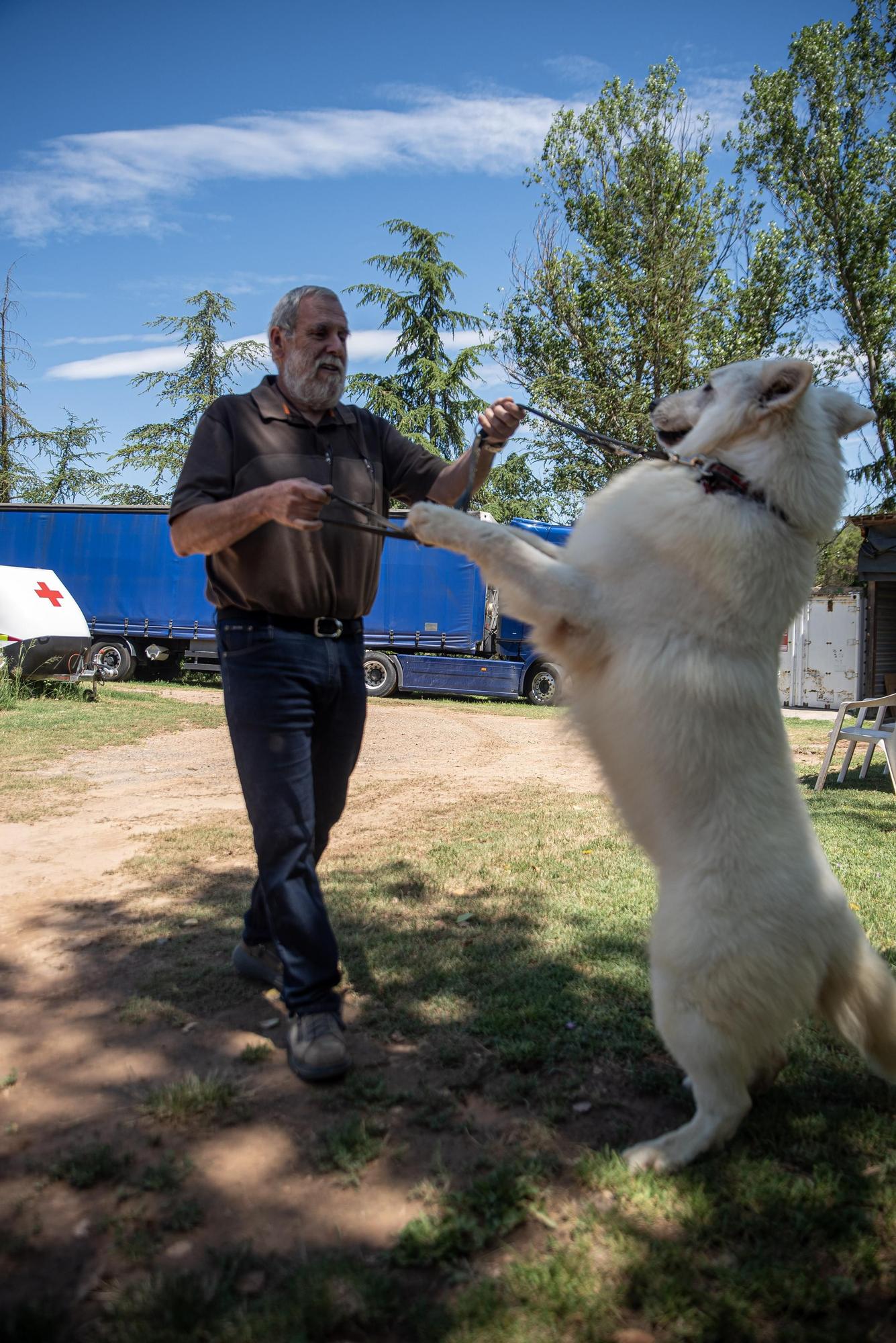 Residències canines:  Tres Pins de Balsareny