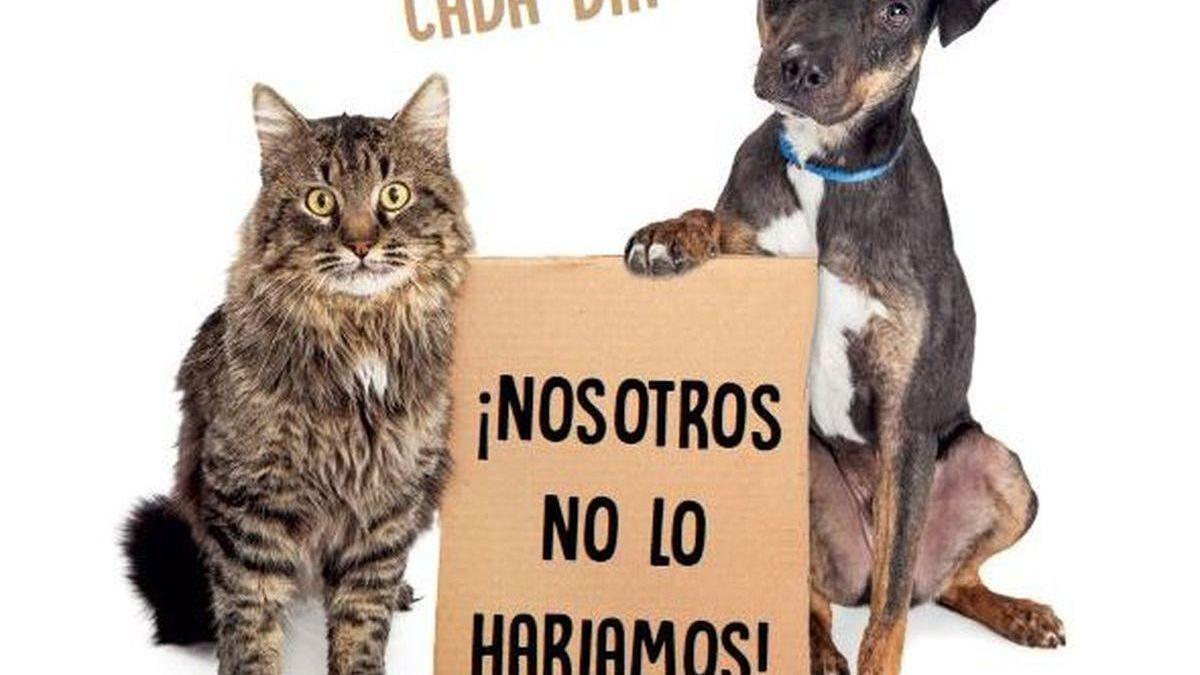 Denuncian a decena de personas en Cartagena por no llevar correa el perro