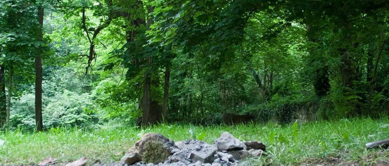 Restos de una hoguera hecha en terreno boscoso días atrás.