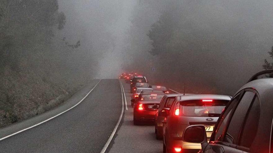 El eucalipto que cayó y atravesó toda la carretera PO-551. // S.A.