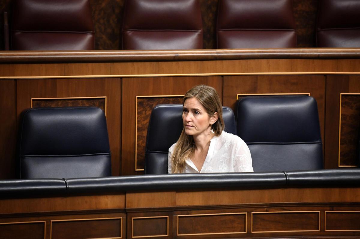 El Govern central assenyala Red Eléctrica i les companyies elèctriques com a culpables de la gran apagada El Govern central assenyala Red Eléctrica i les companyies elèctriques com a culpables de la gran apagada