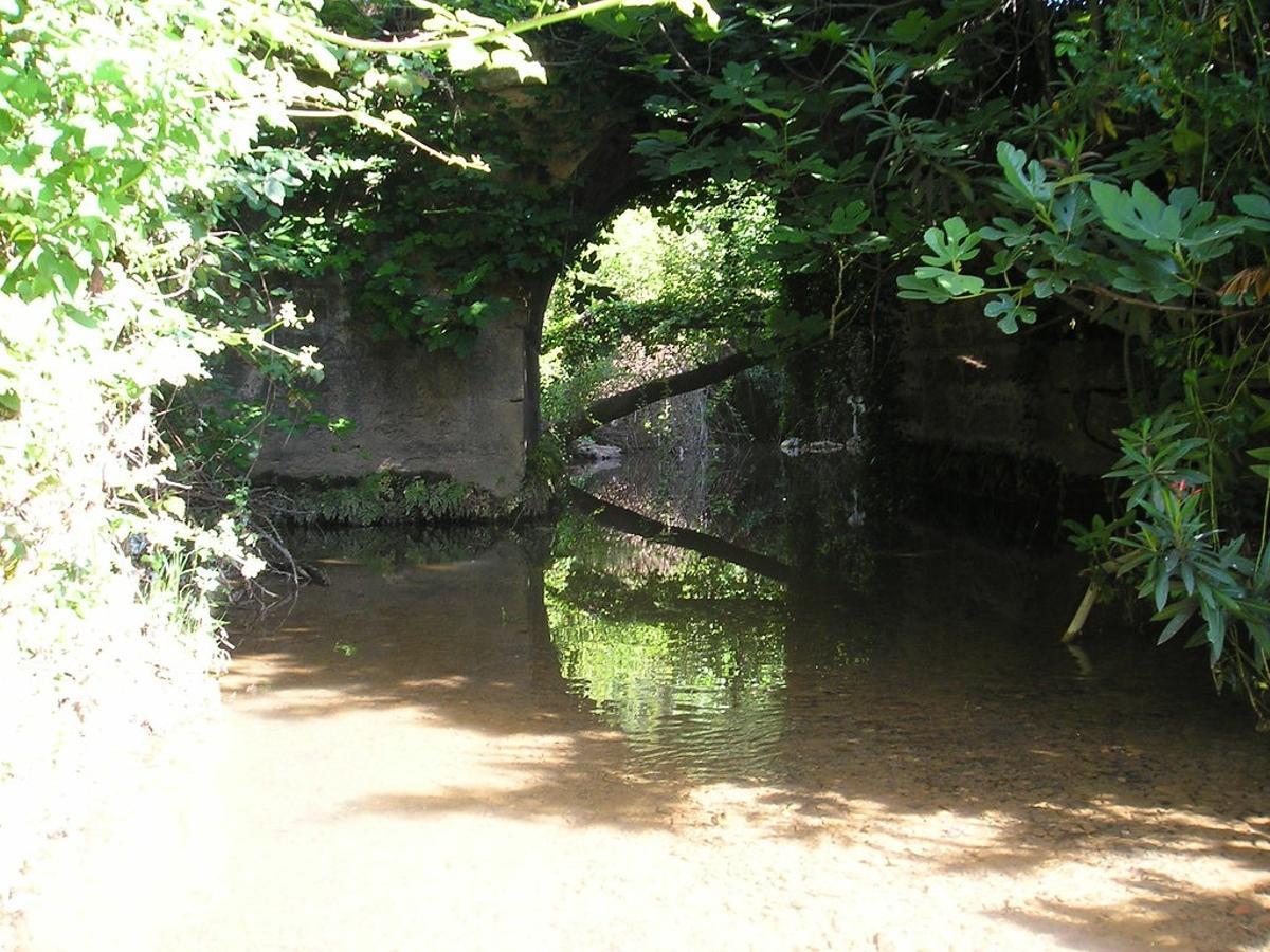 El Puente de los Piconeros.