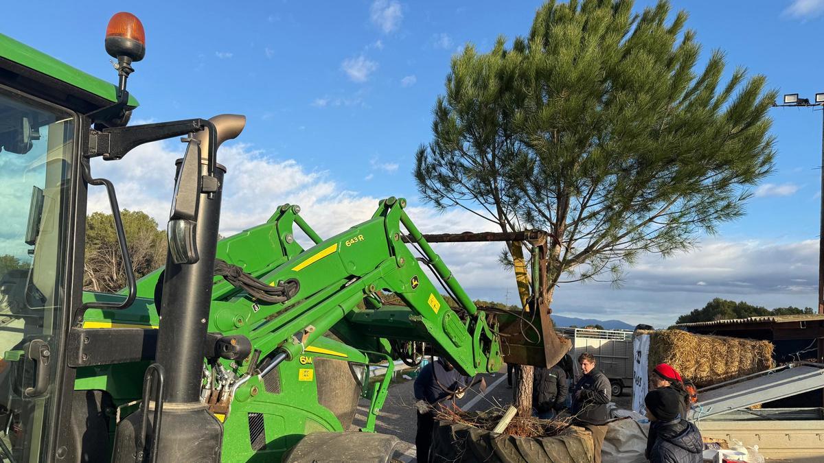 Els pagesos plantant un pi a l'autopista.