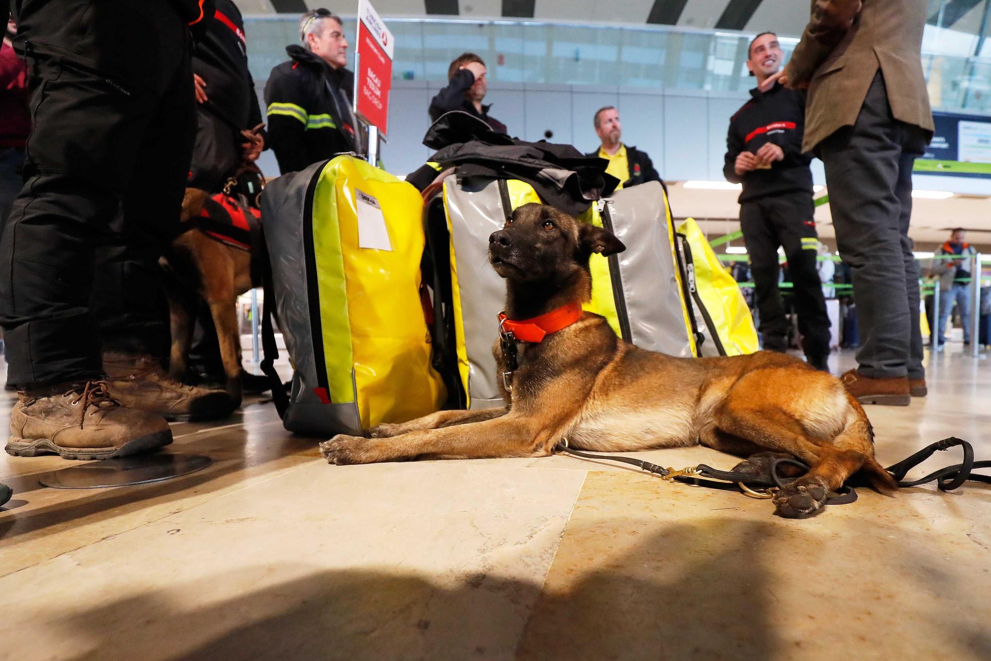 Nueve bomberos de Alicante viajan a Turquía para Ayudar en las tareas de rescate