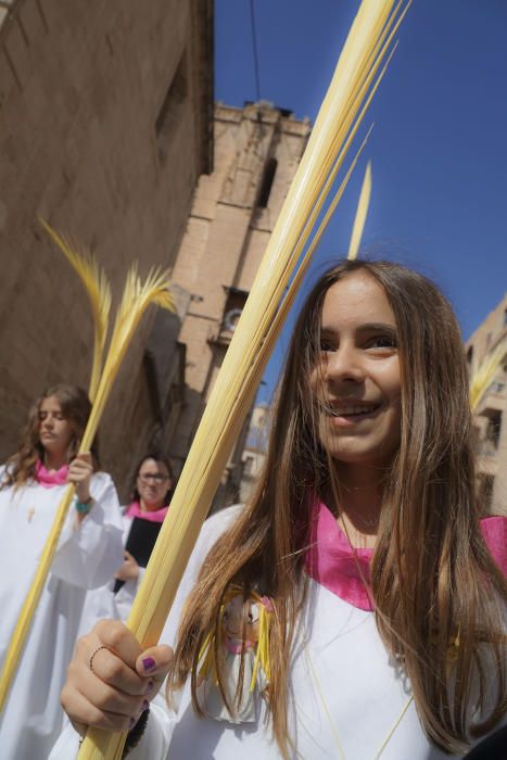 Domingo de Ramos en Orihuela