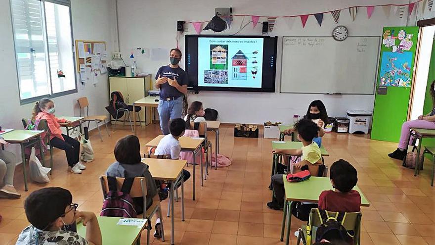 La profesora durante un momento en el colegio Vara de Rey. | ASA