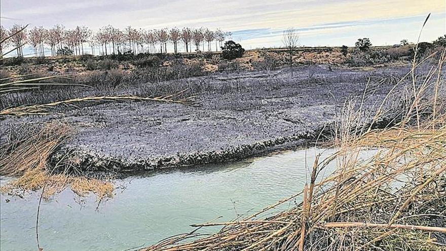 Evacúan a 1.300 alumnos por un incendio en el Túria