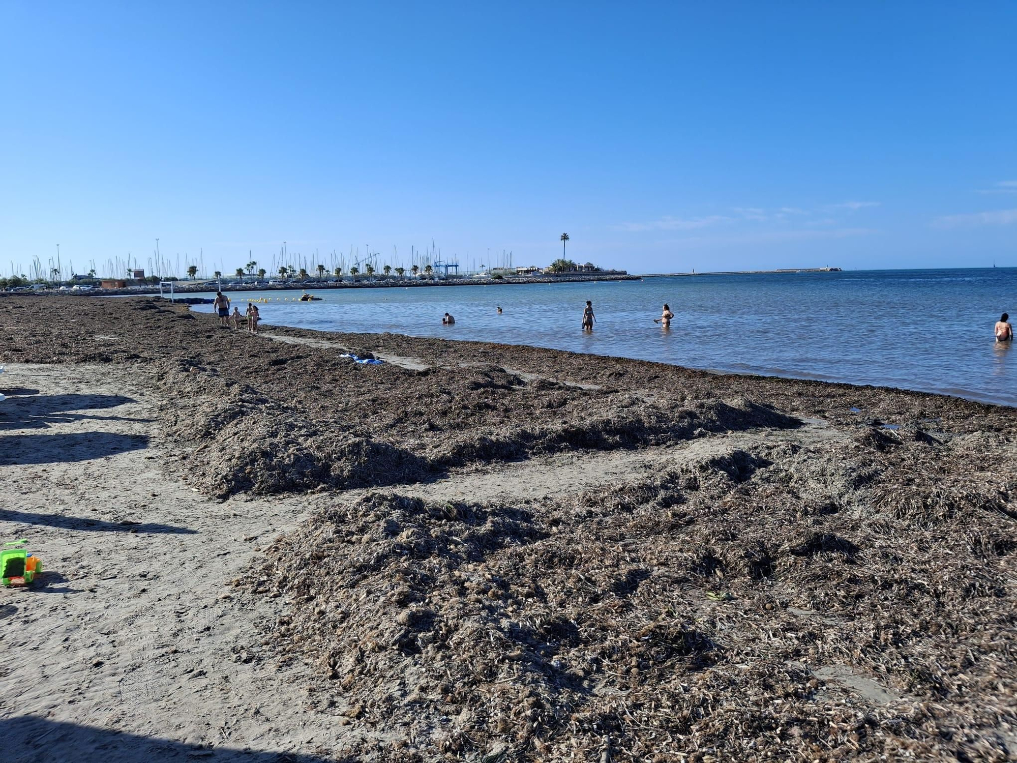 ¡Esto es vida!: manto de posidonia, aguas cristalinas y paz absoluta en la Marineta Cassiana de Dénia