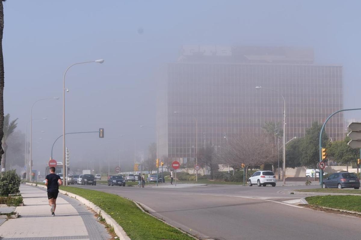 El polvo en suspensión penetrará en Mallorca y reducirá rápidamente la visibilidad