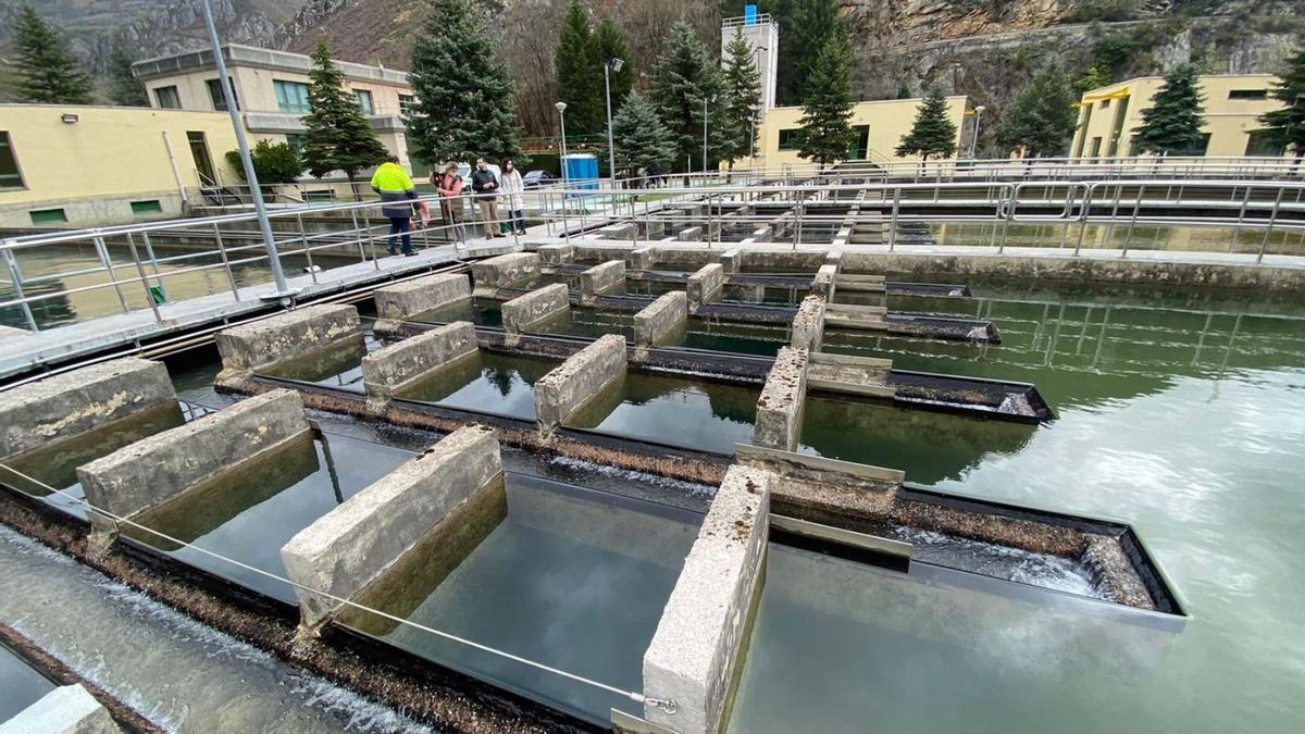 Las balsas de decantación y filtración del agua.