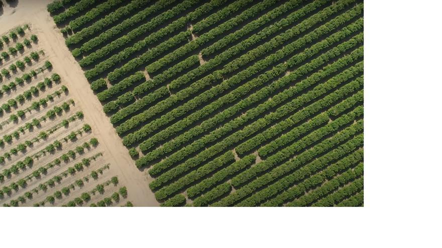 Veganic muestra sus innovaciones en Fruit Attraction, el evento internacional del sector hortofrutícola
