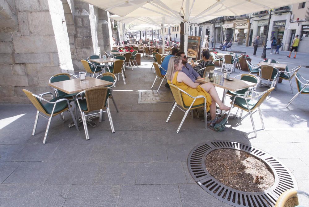 Arbres talats a la Rambla Llibertat de Girona