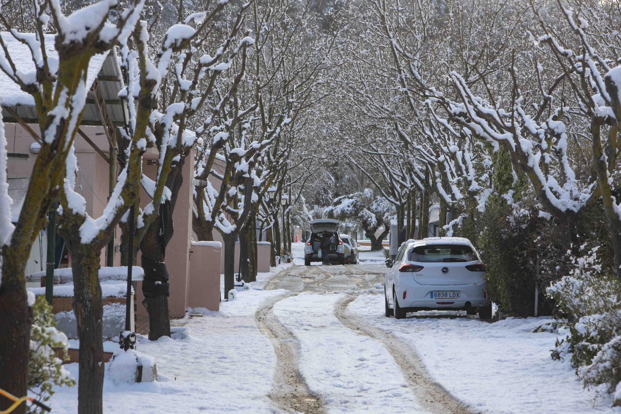 Espectacular nevada en la víspera de Sant Josep en Bocairent