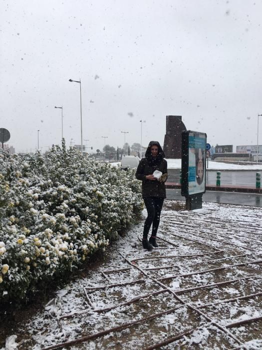 Nieve en Murcia