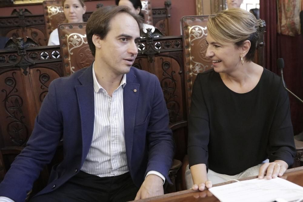 Pleno de Cort con manifestaciones de trabajadores de la EMT, cazadores y defensores de sa Feixina