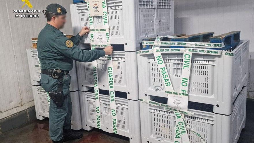 La Guardia Civil bloquea dos toneladas de boquerón tras alertar la lonja de Torrevieja que eran inmaduros y que se iban a vender en Murcia