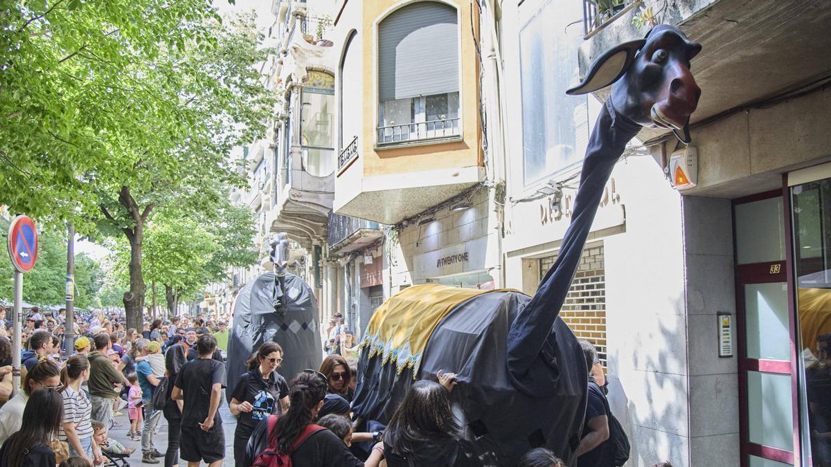 La IX Trobada de Mulasses en imatges