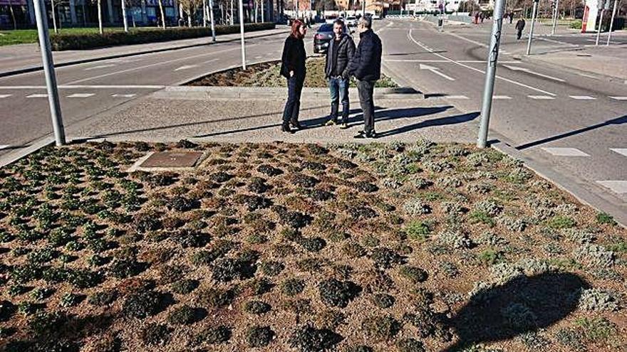 Girona Menys gespa i més vegetació mediterrània