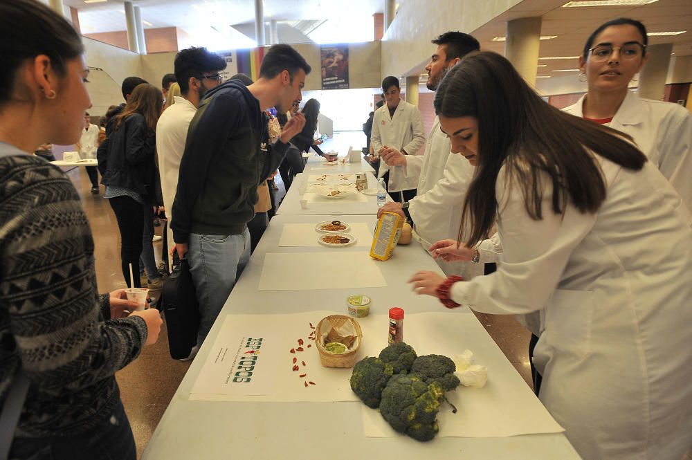 Concurso de alimentos en la UMH