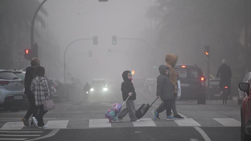 ¿Elche o Londres? La niebla cubre parte del término municipal y se extiende por puntos de Santa Pola y la Vega Baja