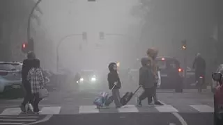 ¿Elche o Londres? La niebla cubre el campo ilicitano, pedanías de playa y llega a la N-340 complicando el tráfico matinal