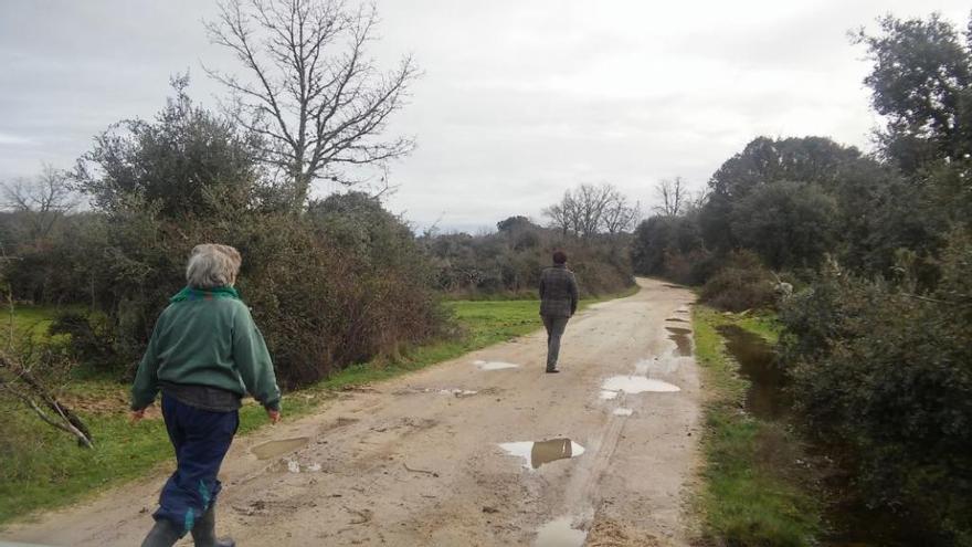 Camino de Monumenta a Argañiín en una imagen de archivo durante la época de lluvias