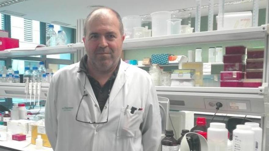 El genetista Damià Heine Suñer, en una imagen tomada en los laboratorios del IdISPa en el hospital de Son Espases.