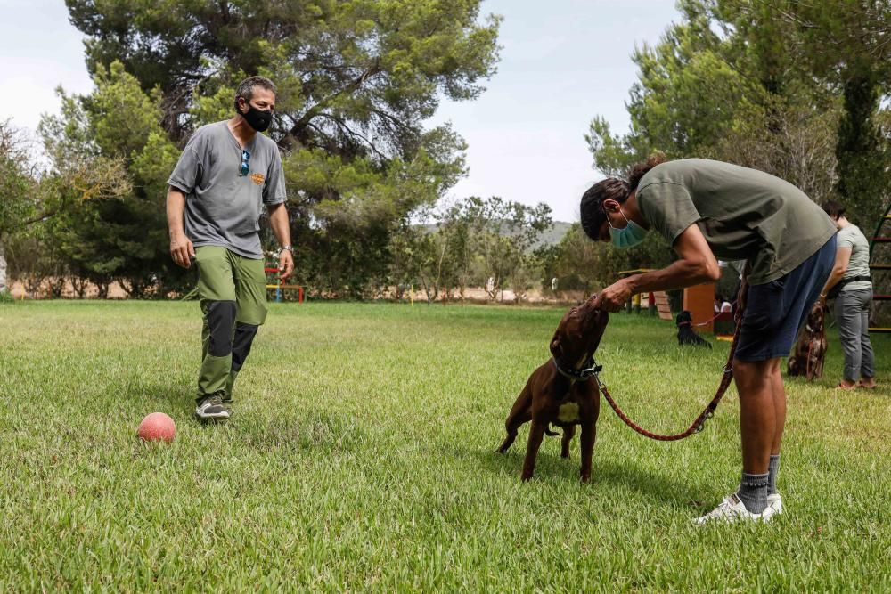 Un instructor de la ONCE prueba en Ibiza un proyecto de vacaciones formativas con mascotas