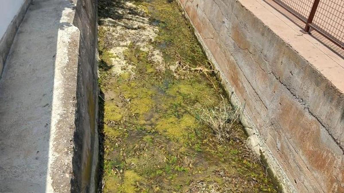 Imagen de la situación actual del Camí la Ratlla.