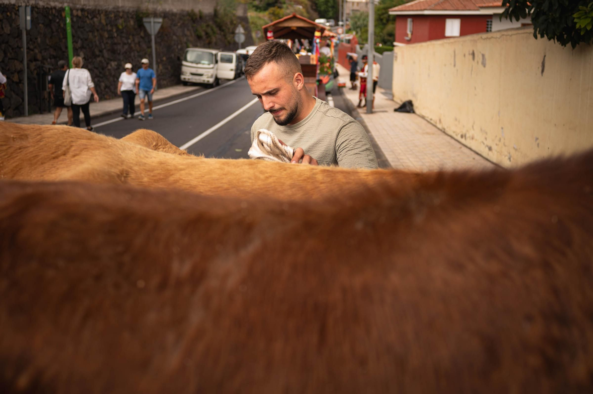 Romería de La Orotava