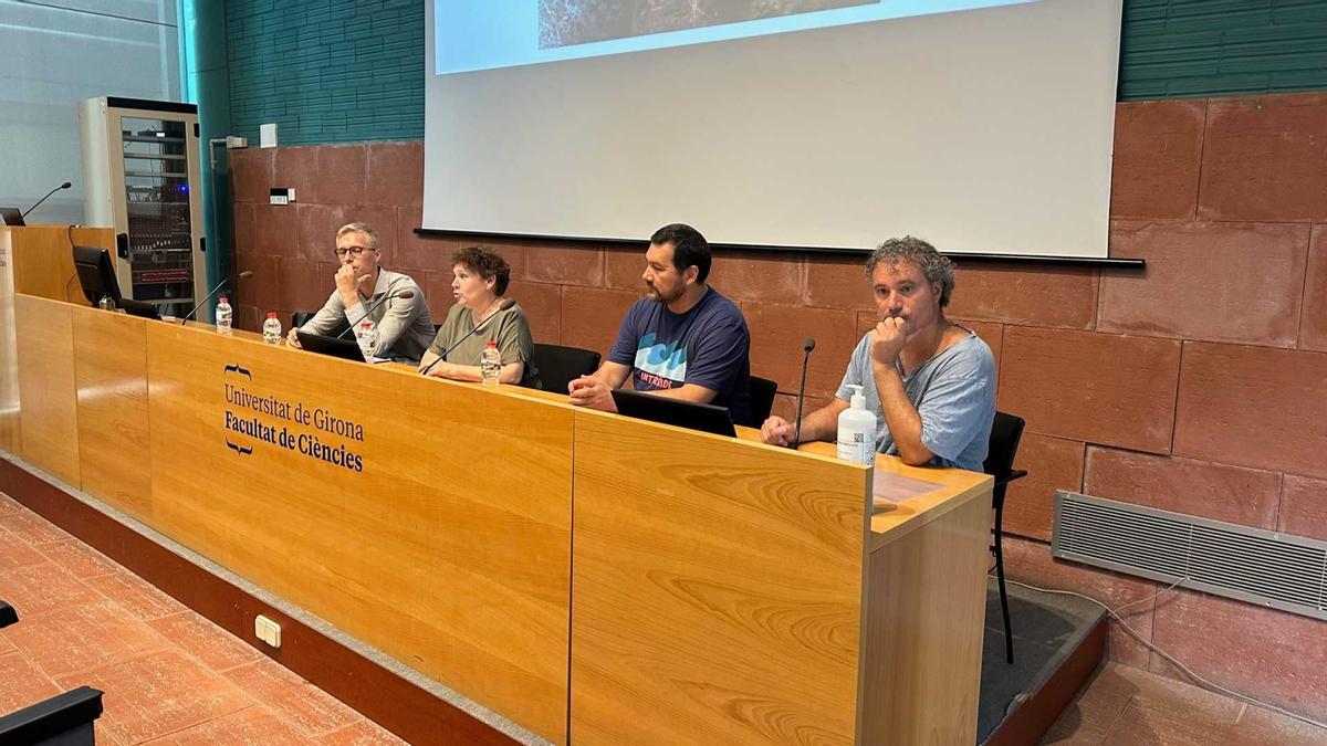 Els quatre experts que han participat en el seminari a la UdG.