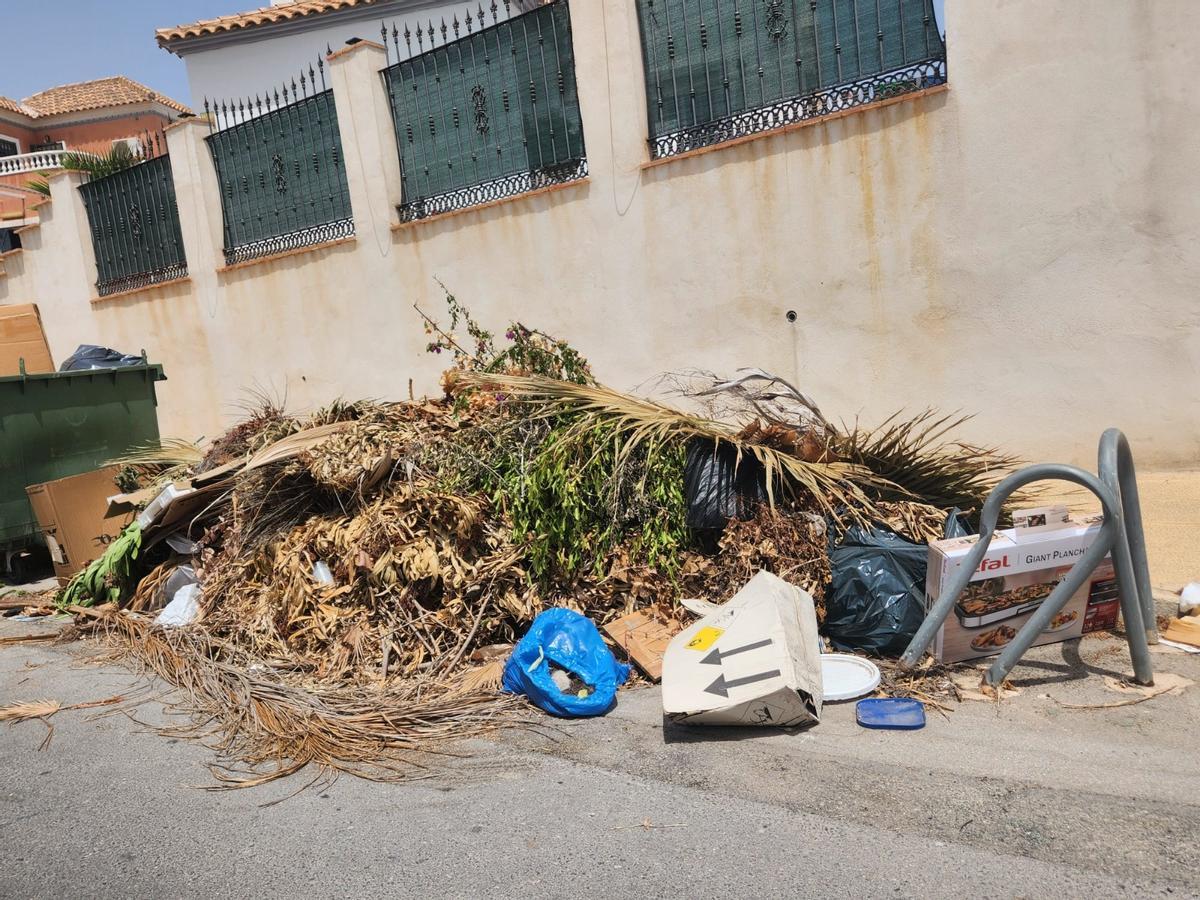 Así están los contenedores de basura de San Miguel de Salinas: hasta arriba de podas y enseres sin que Actúa los retire
