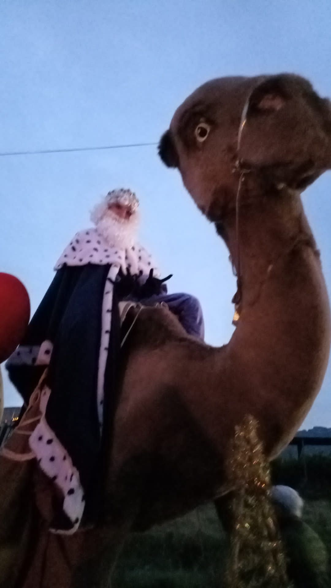 Los Reyes Magos reparten ilusión por los pueblos de la Ribera