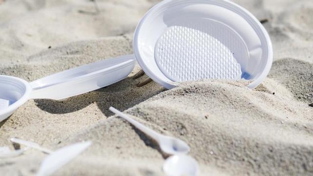 ¿Con el táper a la playa? ¡Cuidado con las peligrosas intoxicaciones alimentarias!