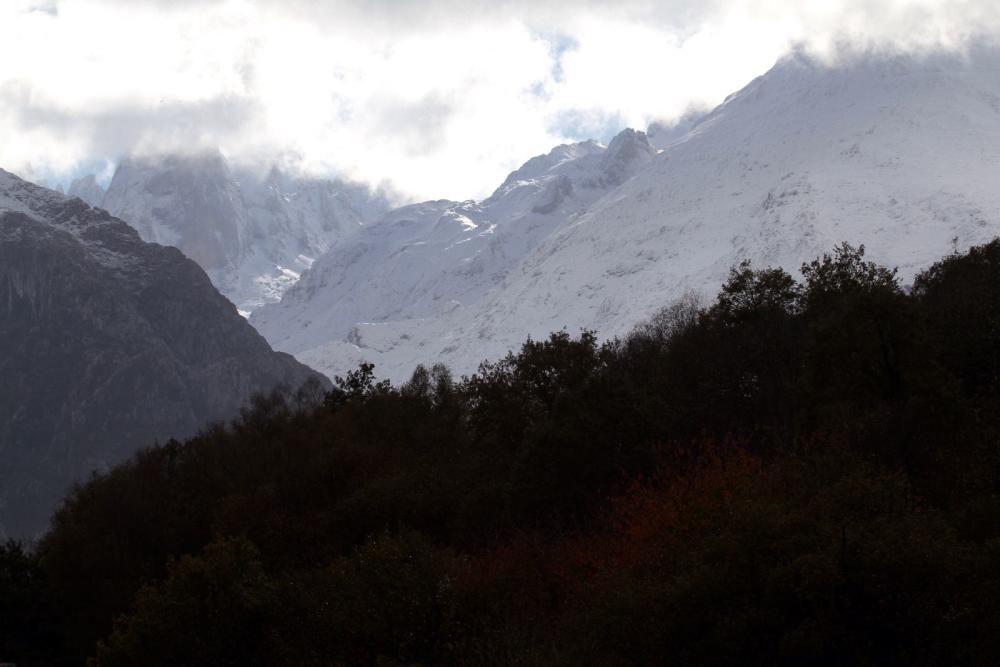 El Picu Urriellu, cubierto de nieve.