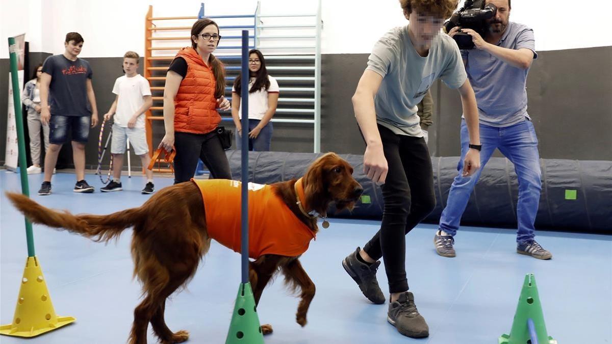 Terapia con perros en la Escuela Lleó XIII de Barcelona