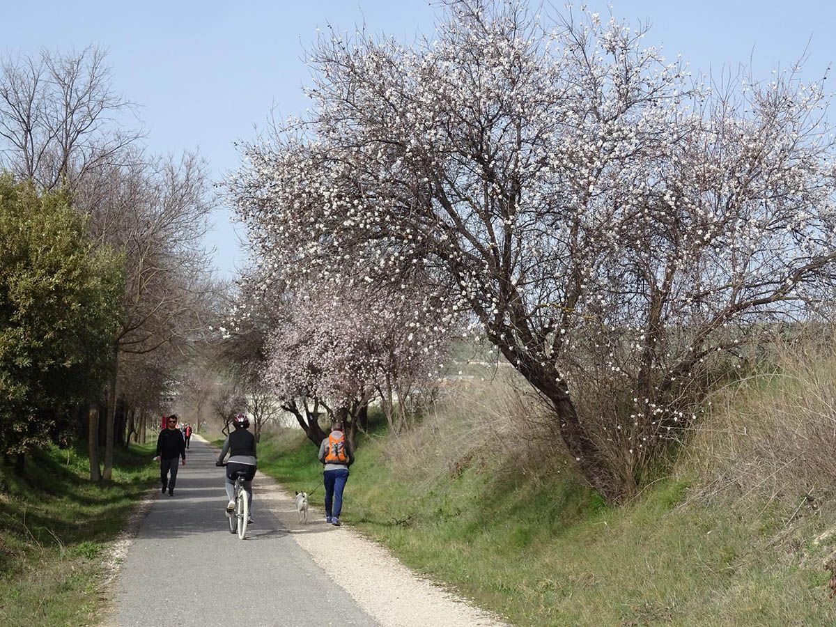 Primavera en la Subbética