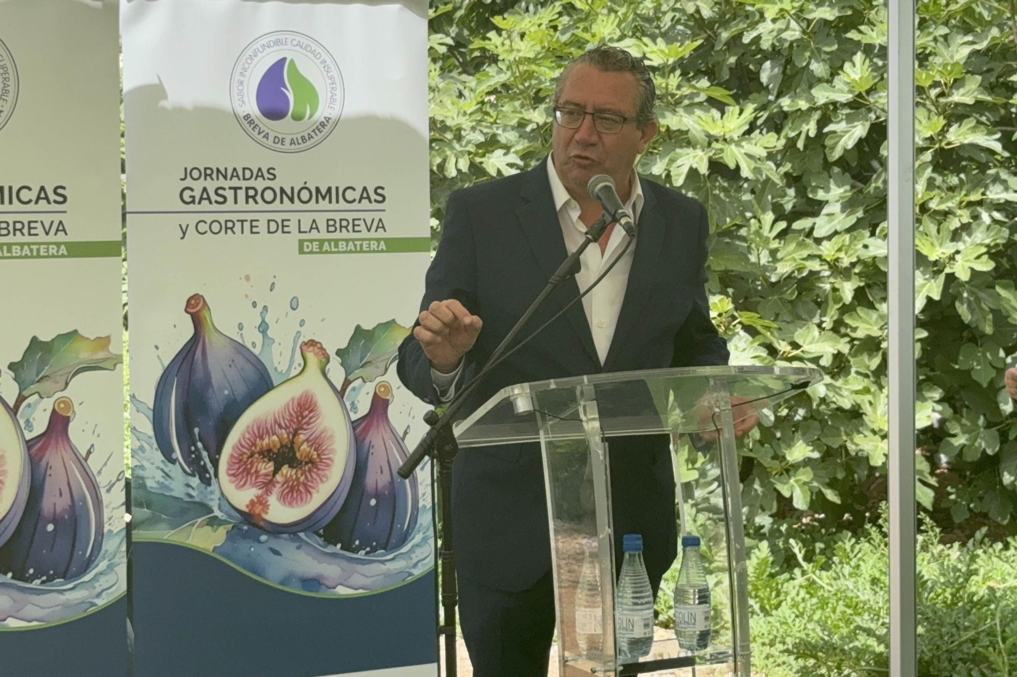 Acto simbólico del arranque de la campaña de breva colar de Albatera